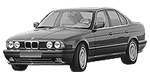 BMW E34 P1581 Fault Code